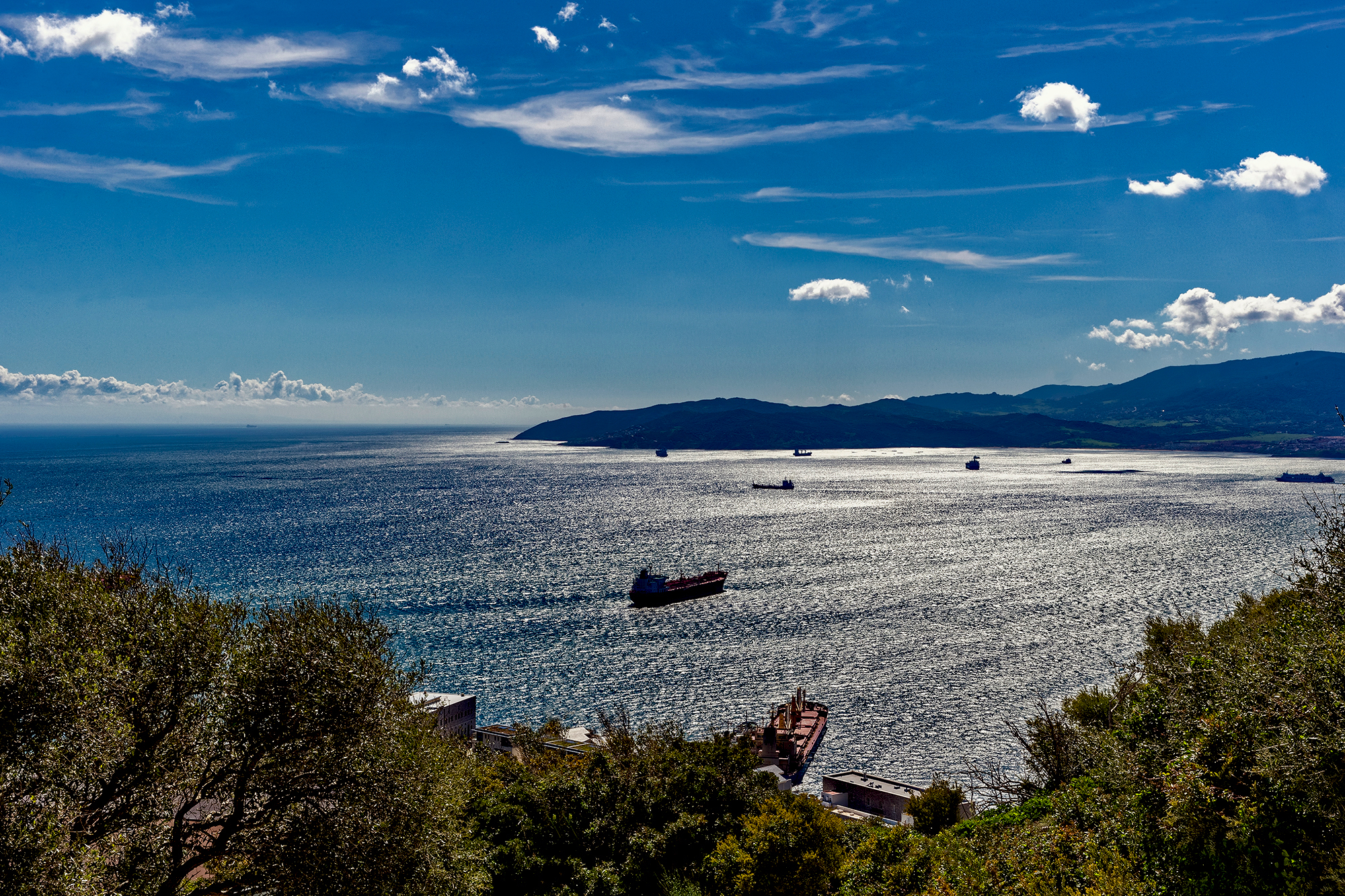 Gibraltar - Des jardins botaniques, vue sur la baie de Gibraltar